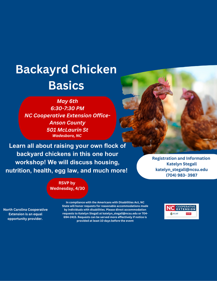 chicken workshop flyer