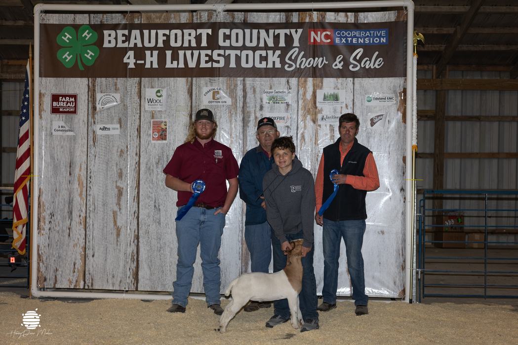 youth and animal with buyers