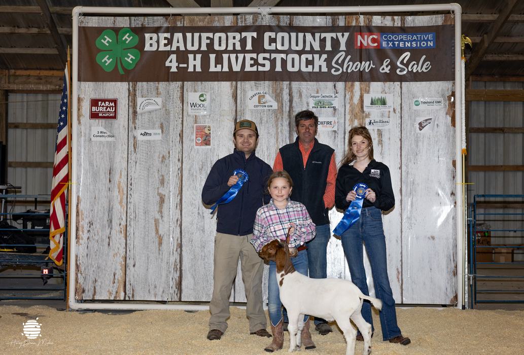 youth and animal with buyers