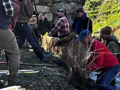 Attendees installing live stakes at workshop in Woodfin NC