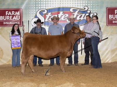 Two girls and judges stand with a show cow. They are displaying a ribbon.