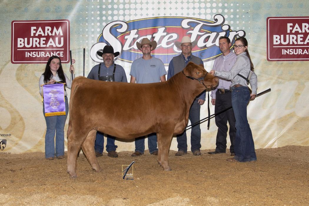 Two girls and judges stand with a show cow. They are displaying a ribbon.