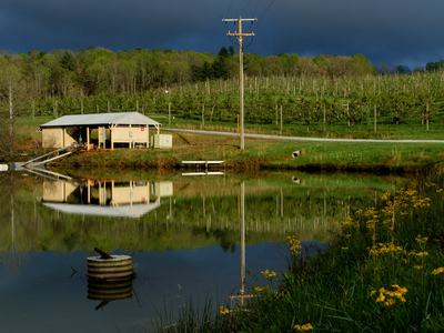Mountain Horticultural Crops Research Station irrigation pond and orchard