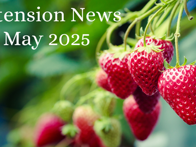 May 2025 Newsletter