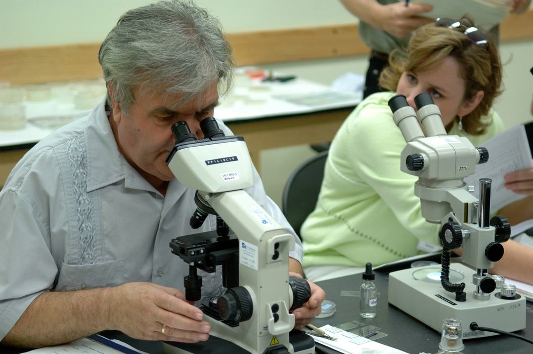 people looking into microscopes