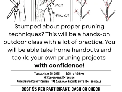 workshop on pruning trees and shrubs