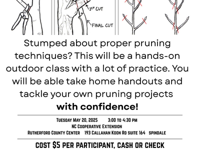 workshop on pruning trees and shrubs