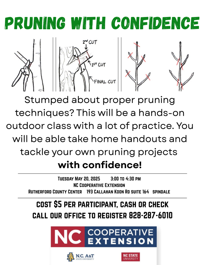workshop on pruning trees and shrubs
