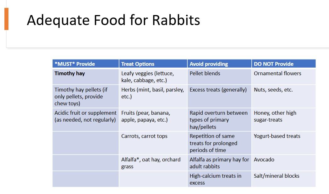 Rabbit food chart