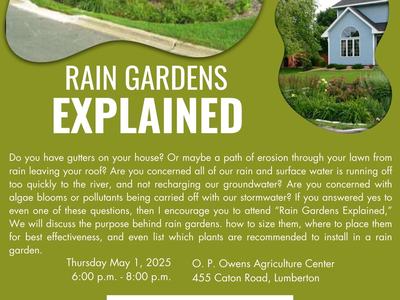 Rain gardens explained
