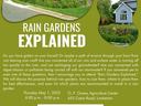 Rain gardens explained