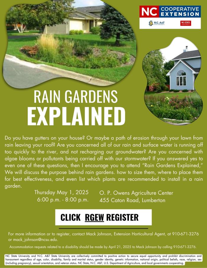 Rain gardens explained