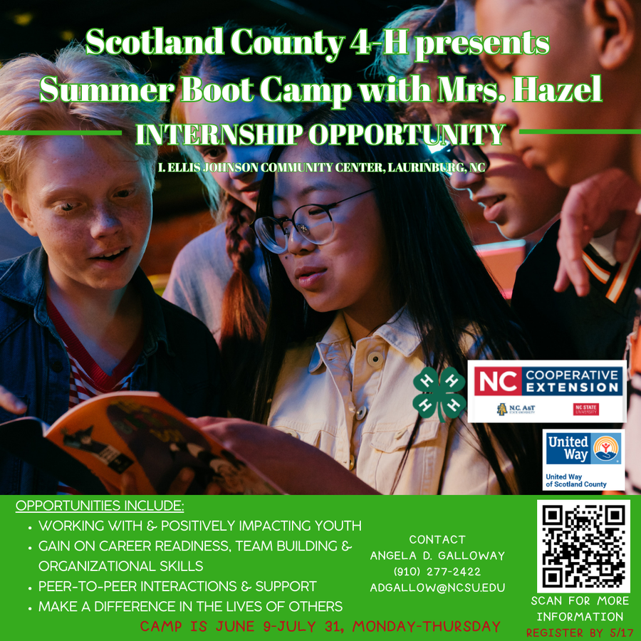 Intern Recruit flyer