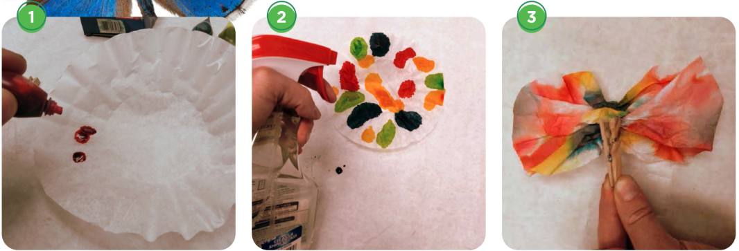 Images of the craft provided above.