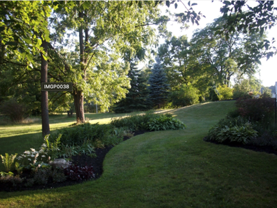Backyard lawn with curved planting beds, trees, sunlight and label "IMGP0038"