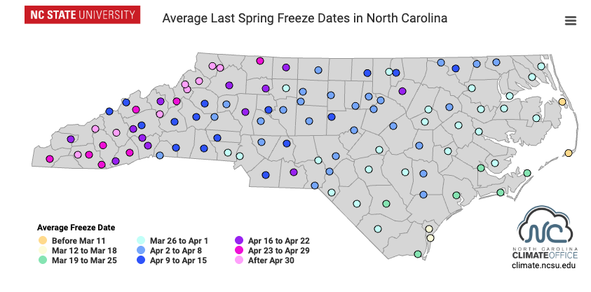 Average last spring freeze dates by county. Some western counties are as late as April 30.