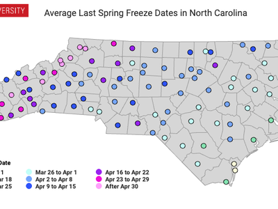 Average last spring freeze dates by county. Some western counties are as late as April 30.