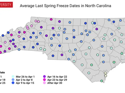 Average last spring freeze dates by county. Some western counties are as late as April 30.