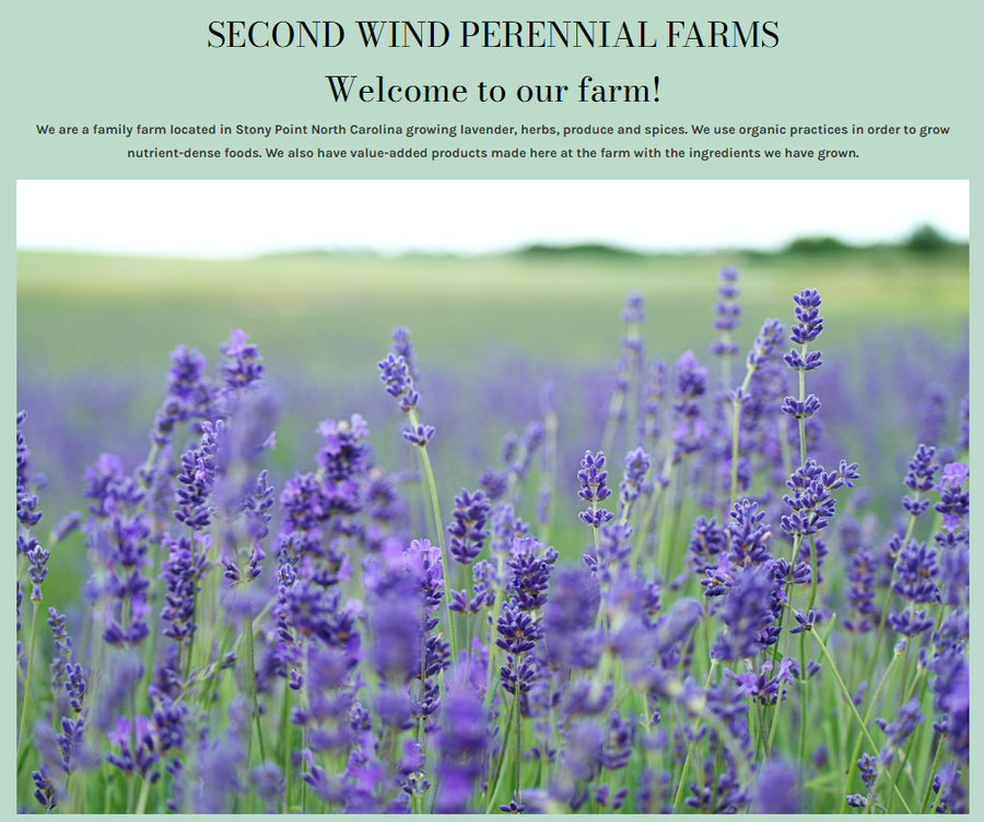 Second Wind Screenshot