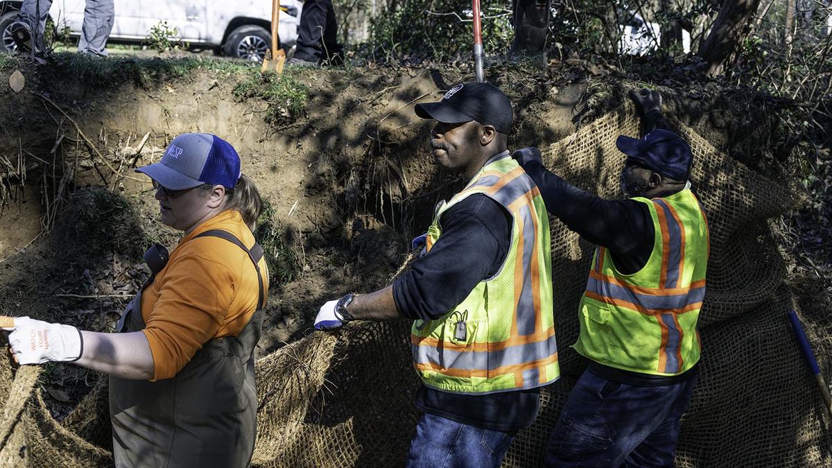 NC State Extension water resources water quality stream bank repair