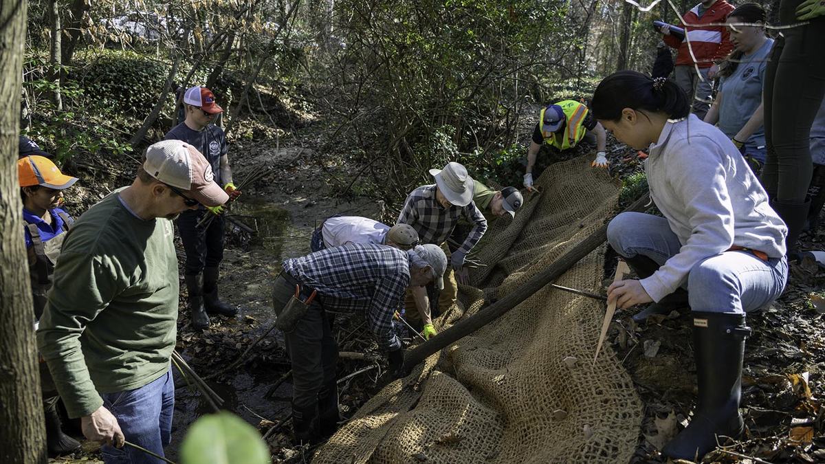 NC State Extension water resources water quality stream bank repair