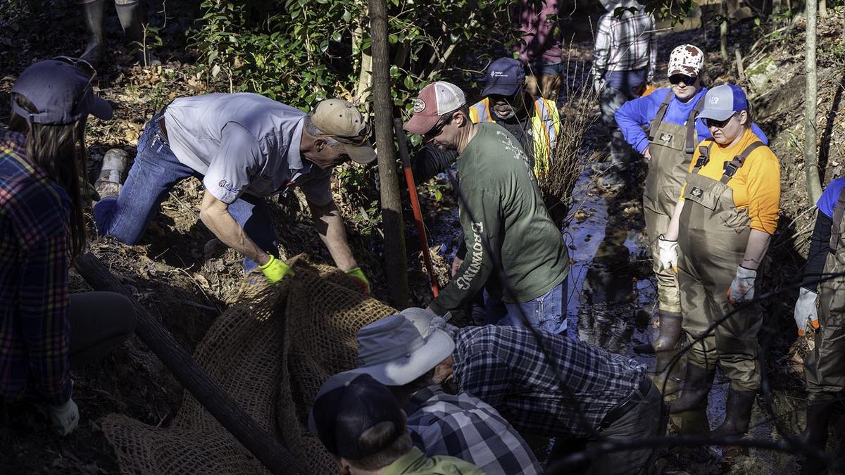 NC State Extension water resources water quality stream bank repair