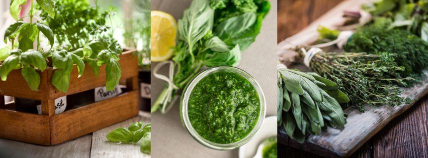 Herbs and pesto