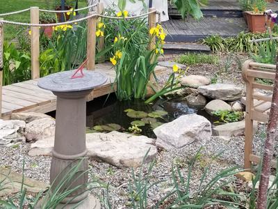 Photo by Amy Bruzzichesi