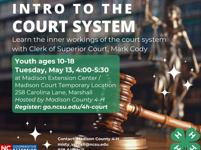 gavel and justice scales background with info on court system program