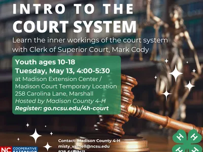 gavel and justice scales background with info on court system program