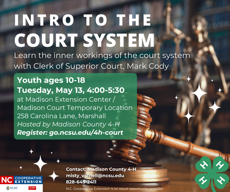 gavel and justice scales background with info on court system program