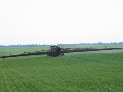 Tractor-mounted boom sprayer applying spray across a green wheat field