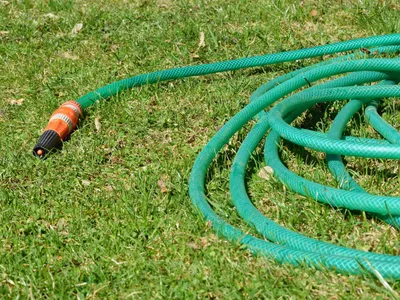 Garden hose on lawn