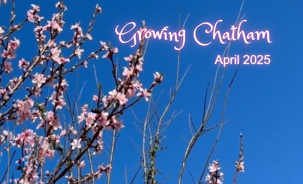 Growing Chatham 