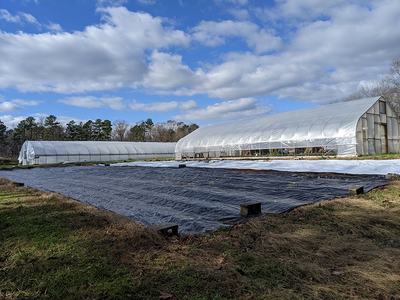 Two plastic-covered hoop greenhouses beside tarped ground under partly cloudy sky