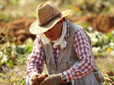 image of a farmer kneeling in field wearing a straw hat by JaeHoon KIM from Pixabay