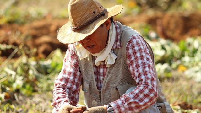 image of a farmer kneeling in field wearing a straw hat by JaeHoon KIM from Pixabay
