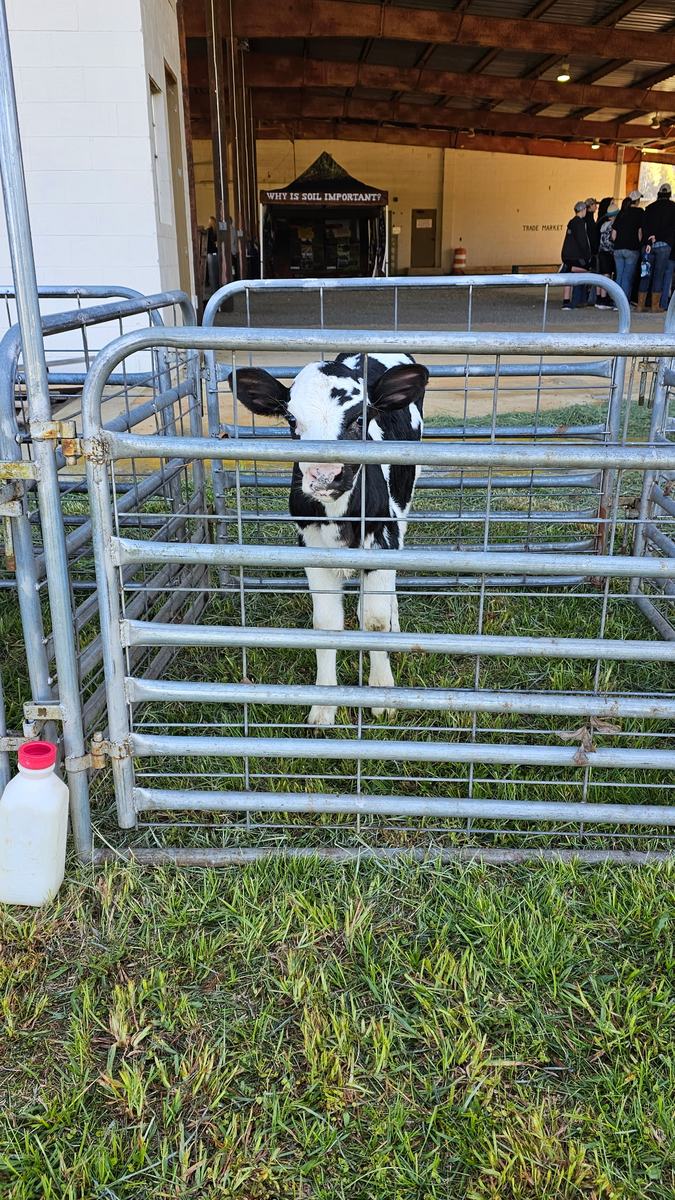 width="201" height="350"