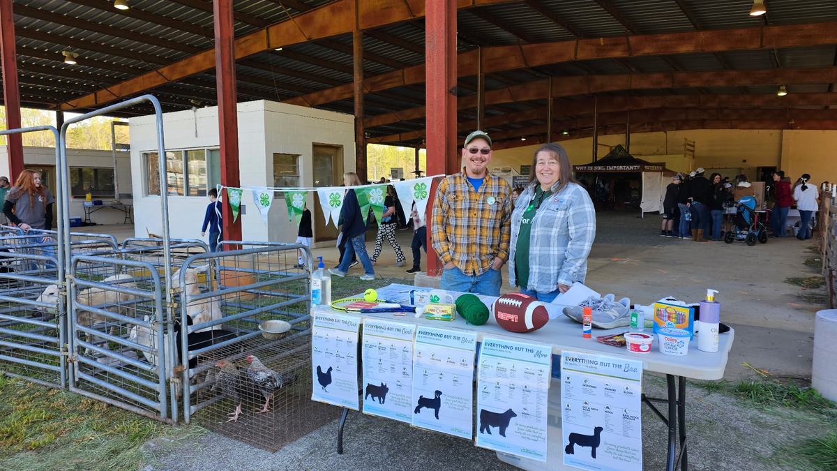 width="478" height="273"