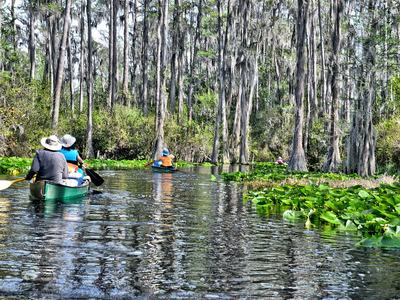 Kayak on a river