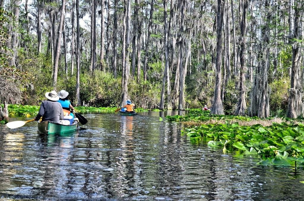 Kayak on a river