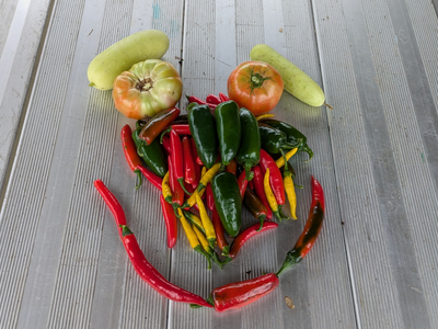 green and red peppers and tomatos arranged on a table to look like a face smiling
