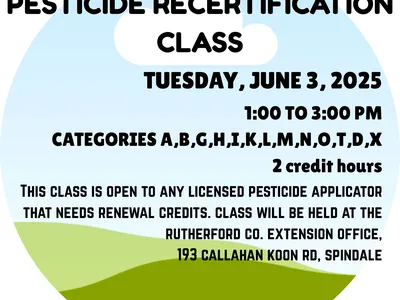 Tuesday June 3 from 1 to 3 pm