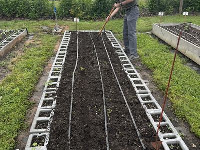 Young man hoeing in a raised bed made out of cinder blocks