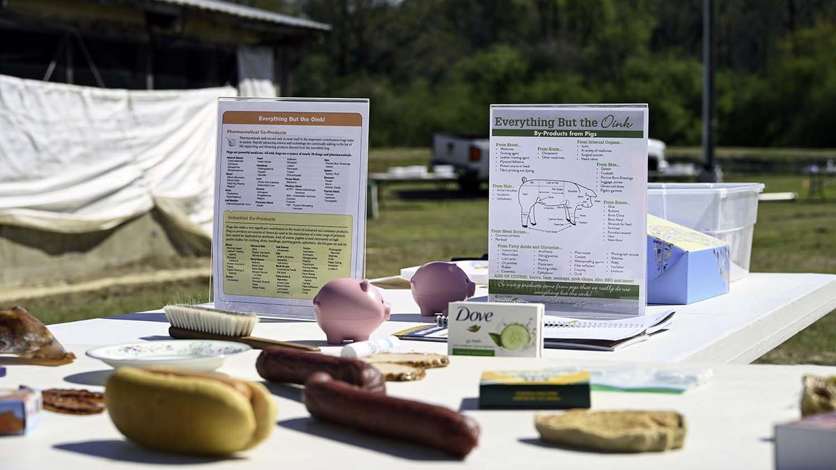 NC State Extension youth education youth pork day Sampson County