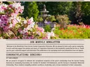 Cover Page of June 2025 Newsletter