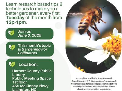 Lunch & Learn — June 3, 2025: Gardening For Pollinators at Harnett County Public Library