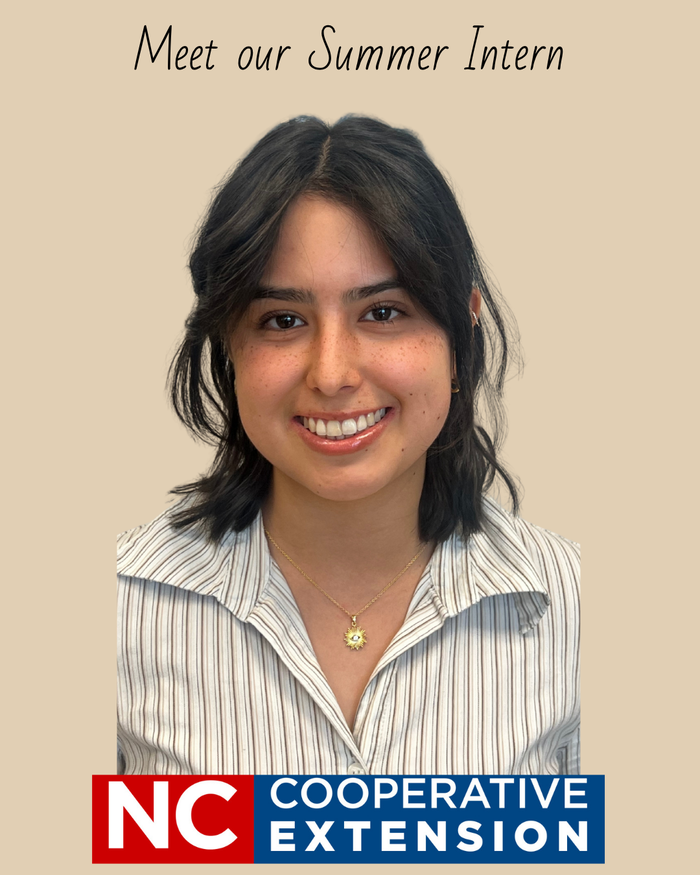 Photo of Anna Shore, female smiling, with dark hair and brown eyes and olive skin wearing a pin stripe shirt with a gold necklace, Davie County Intern