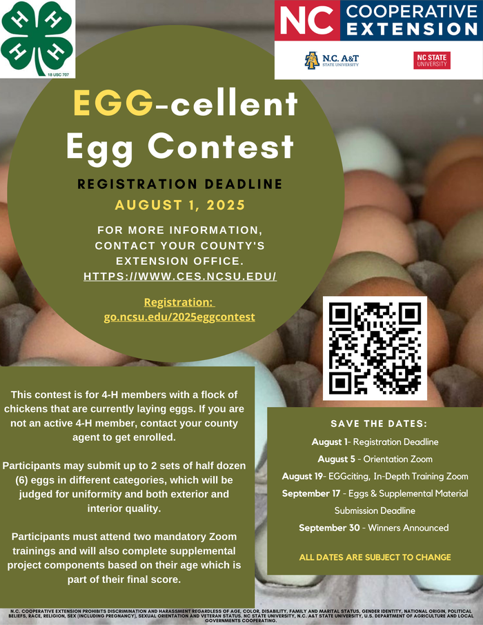 egg contest flyer