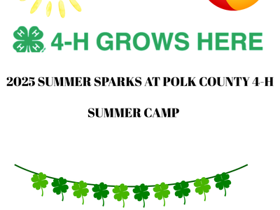'4-H GROWS HERE' logo; '2025 SUMMER SPARKS AT POLK COUNTY 4-H' and 'SUMMER CAMP'; sun and beach ball